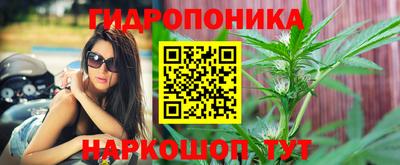 эйфоретик Ливны