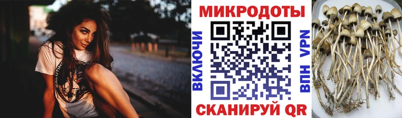 Галлюциногенные грибы мухоморы  Кимры 