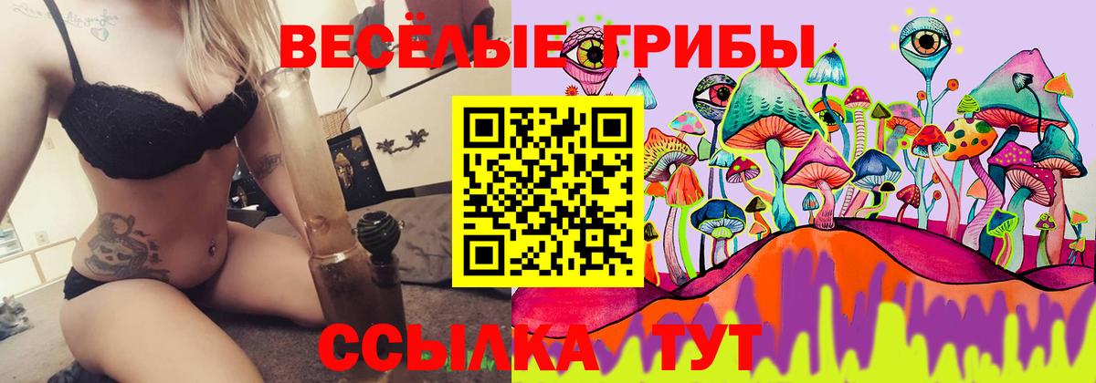 Кимры  Галлюциногенные грибы Magic Shrooms  Галлюциногенные грибы Psilocybe  Вход с VPN 